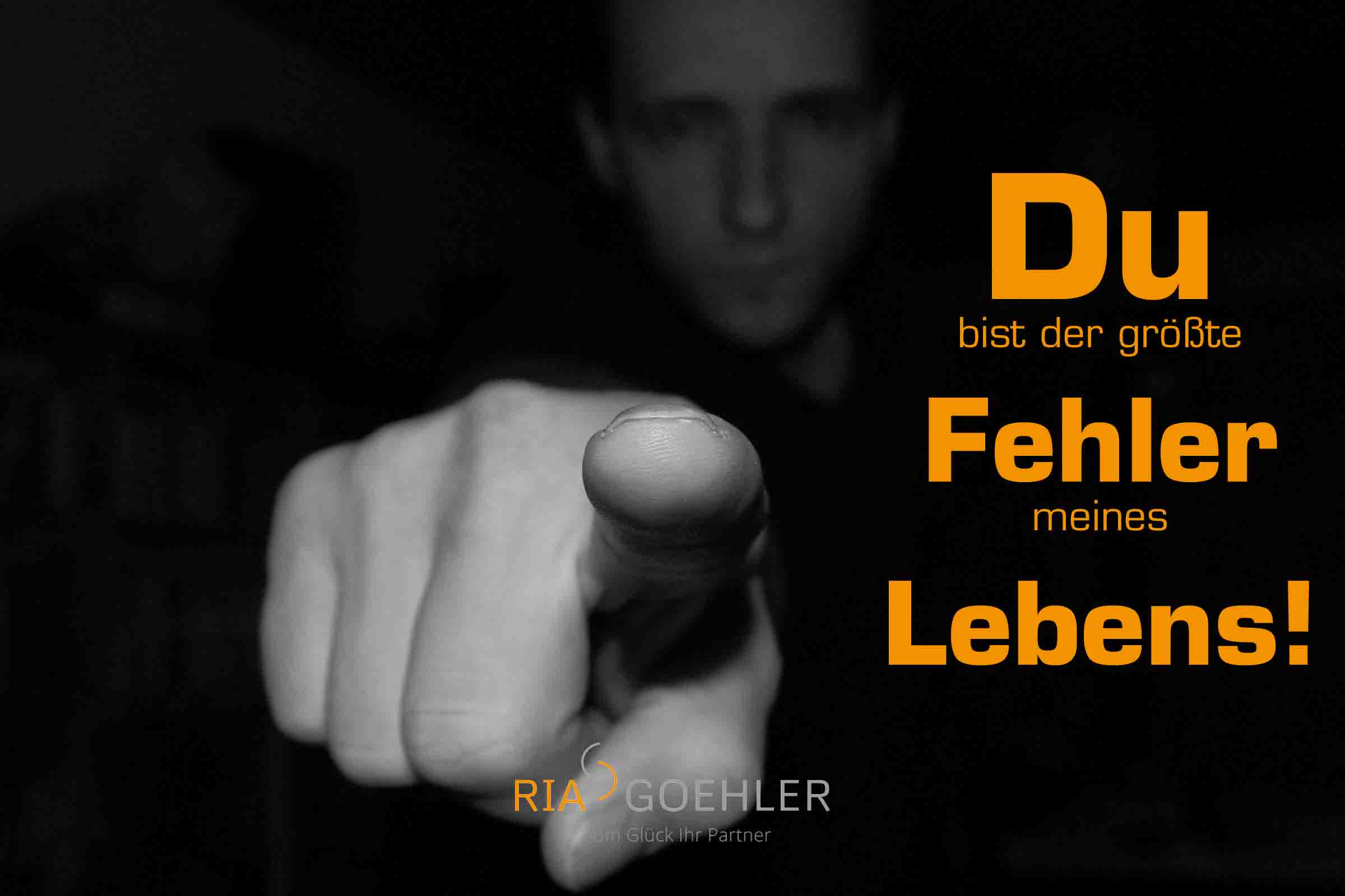 Du bist der grösste Fehler meines Lebens! LIEBLINGSPARTNER